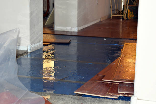 Professional Basement Flood Cleanup technician working in Somerset, MA